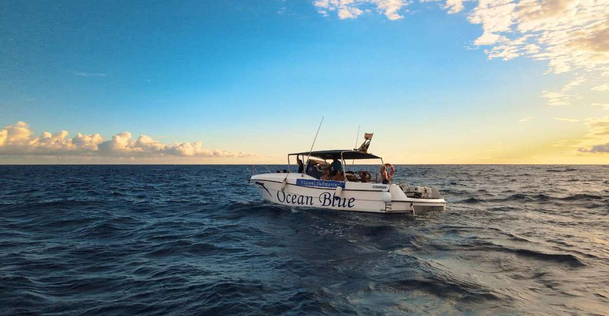 Excursion to See the Whales - 3 Hours - Itinerary Highlights