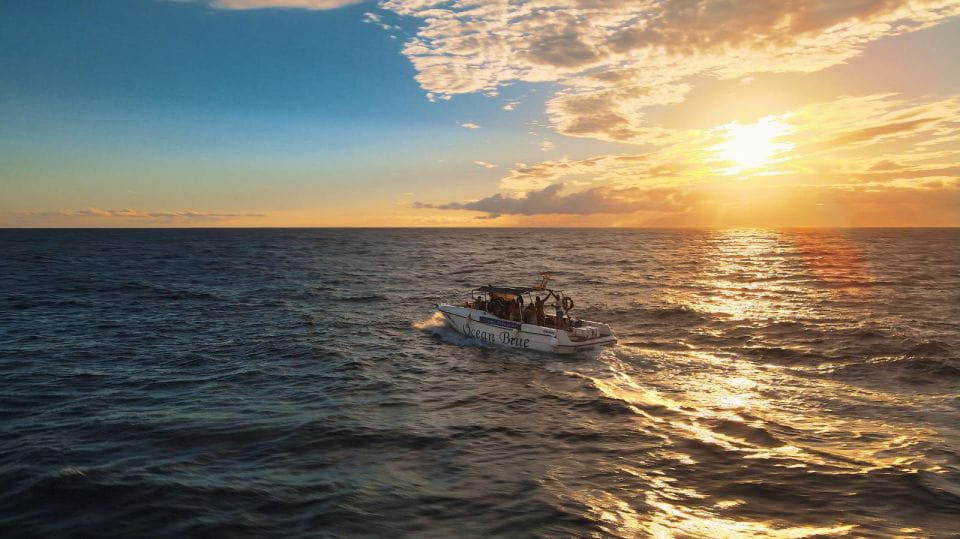 Excursion to See the Whales - 3 Hours - Accessibility Features