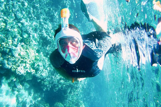 Excursion to Tiran Island by Boat - Included Activities and Amenities