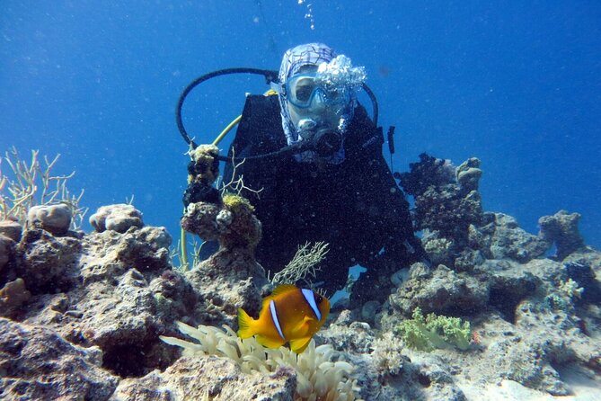 Excursion to Tiran Island by Boat - Pricing and Cancellation Policy