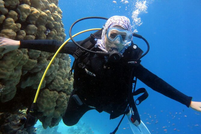 Excursion to Tiran Island by Boat - Preparing for the Excursion