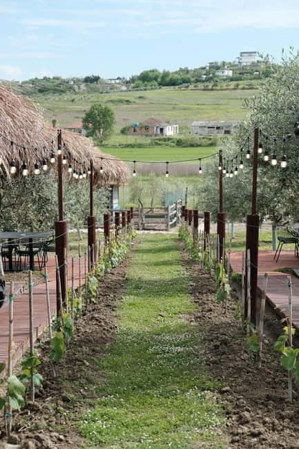 Experience Albanian Wine, daily tours from Durres - Key points / Takeaways