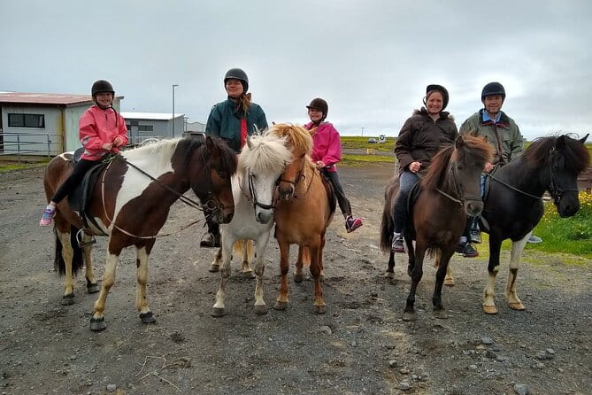 Experience Countryside of Iceland by Horseback Riding - FAQ