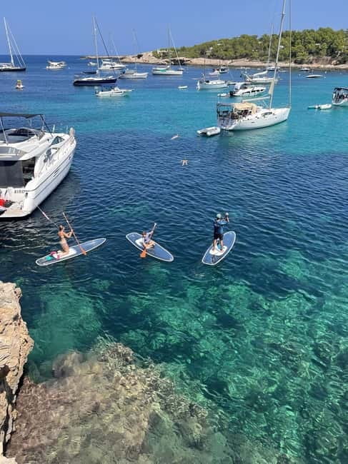 Experience Crystal paddle surf Tours + snorkel - Key Points / Takeaways