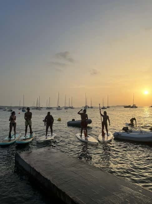 Experience Crystal paddle surf Tours + snorkel - Logistics and Practicalities: What You Need to Know
