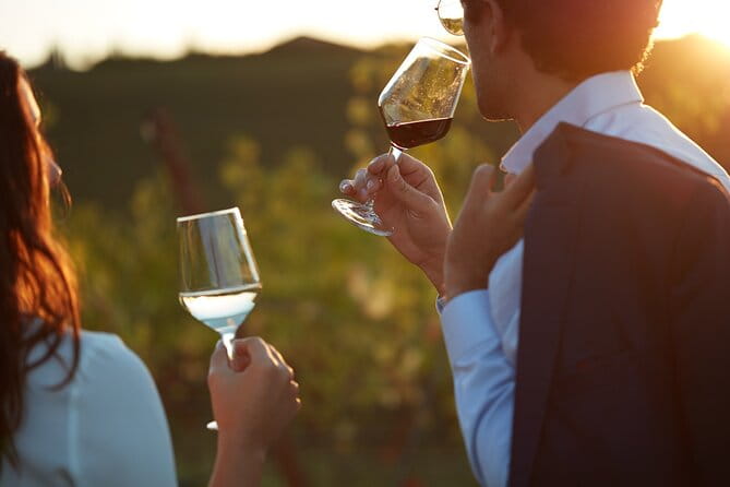 Experience Emilian Wines at Bologna Vineyard Vista - Key points / Takeaways