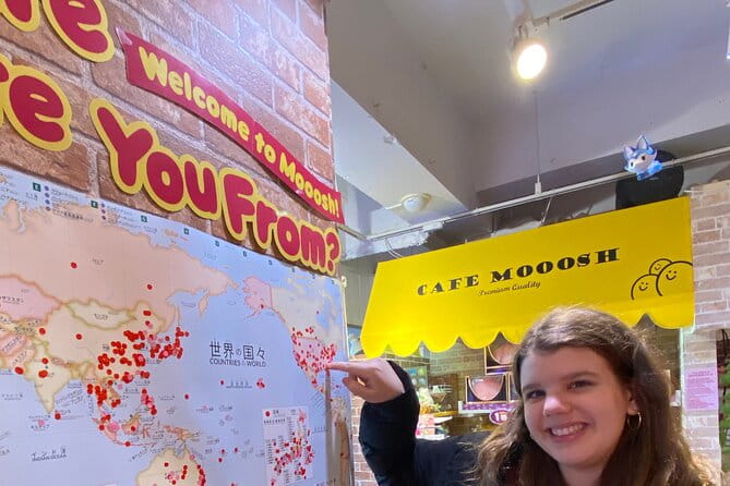 Experience Harajuku Kawaii & Cat Street + LUNCH Plus Meiji Shrine - Meeting and End Points