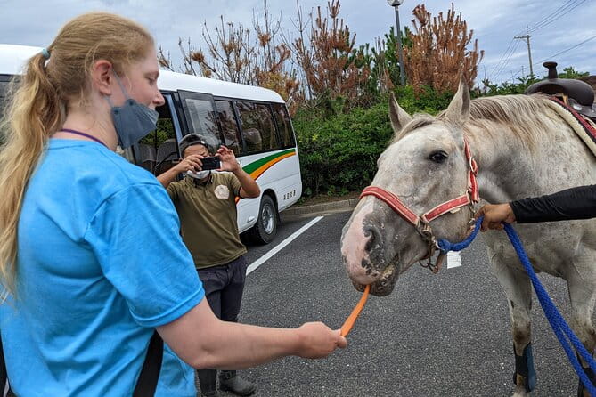 Experience Horseback Riding With Samurai Costume in Japan - What to Expect During Your Ride