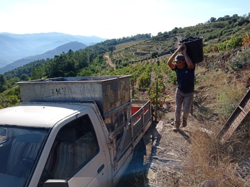 Experience in Pinhão: Wine Tasting, Lunch and Rabelo Boat - Key Points / Takeaways