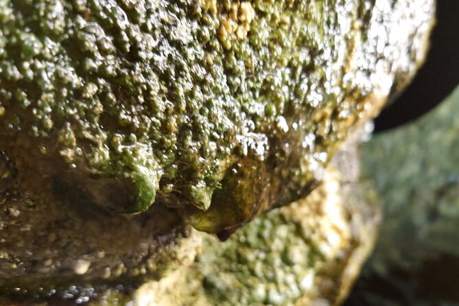 Experience Iwate Hidden Cave - Geological Wonders and Formations