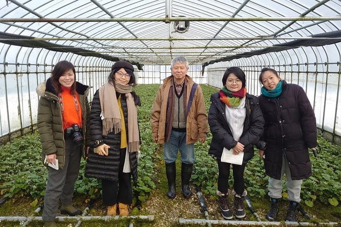 Experience Making Okura Wasabi and Wasabi Soy Sauce - Key Points