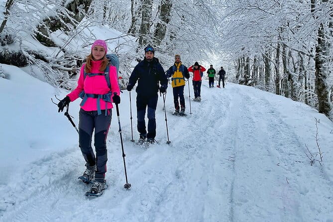 Experience Snowshoeing in Olympic Mountain Bjelanica - Entering Sarajevo’s Winter Wonderland