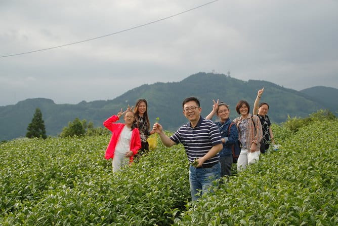 Experience Tea Picking With a Tea Farmer, and Tempura Lunch With Picked Tea Leaves - The Art of Tea Picking and Rolling