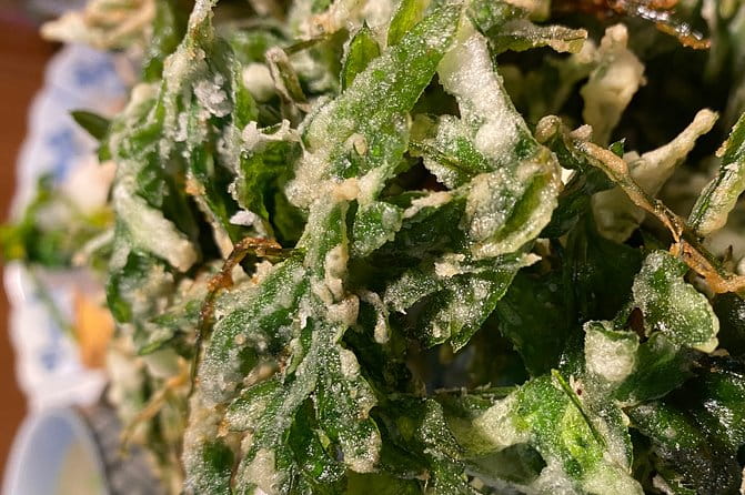 Experience Tea Picking With a Tea Farmer, and Tempura Lunch With Picked Tea Leaves - Seasonal Ingredients in Satoyama Cuisine