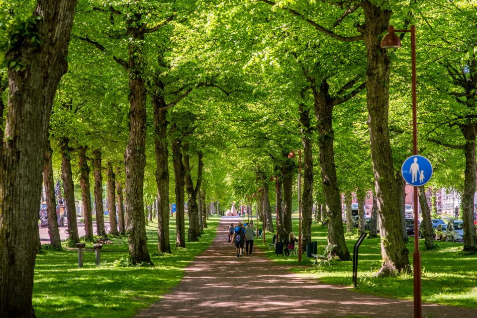 Experience the Best of Aland With Our Private Guided Tour - Tour Duration and Languages