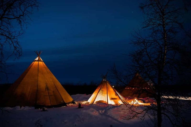 Experience the majestic Auroras Kiruna-Abisko & lodge dinner - The Experience in Detail: What You Can Expect During the Night