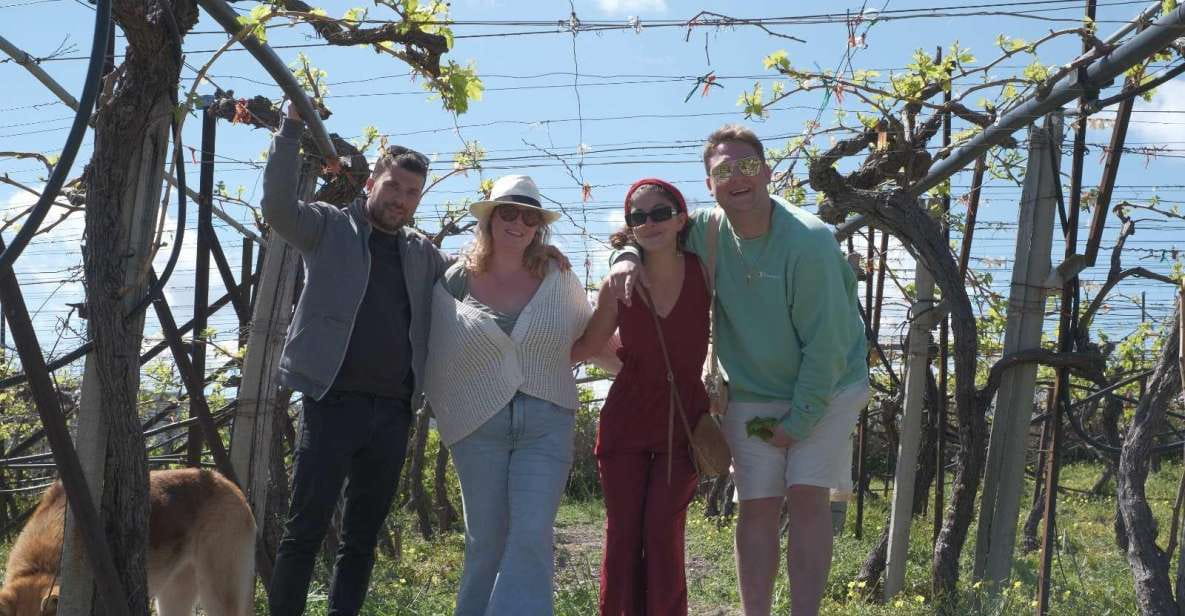 Experience the Minoan Grapes at a Local Vineyard - Key Points