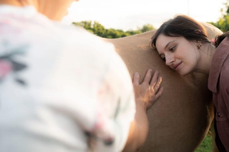 Experiential activity with horses: an experience in connection - Discovering the Heart of the Experience