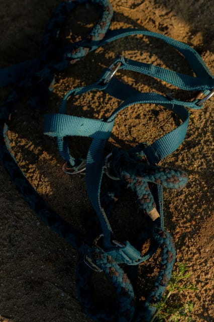 Experiential activity with horses: an experience in connection - FAQ