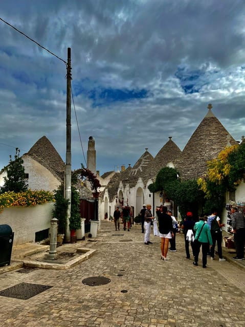 Expert Guided Tour & Tasting, Alberobello - Key points / Takeaways