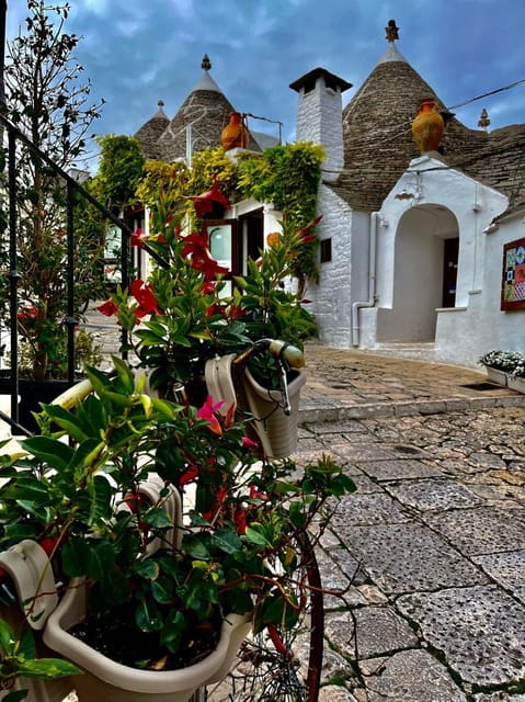 Expert Guided Tour & Tasting, Alberobello - Price and Practicalities: Value in Context