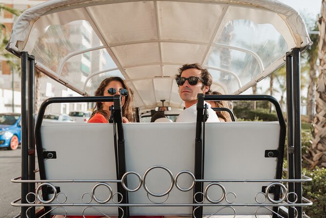 Expert Tour of Malaga in Private Eco Tuk Tuk - Weather and Accessibility