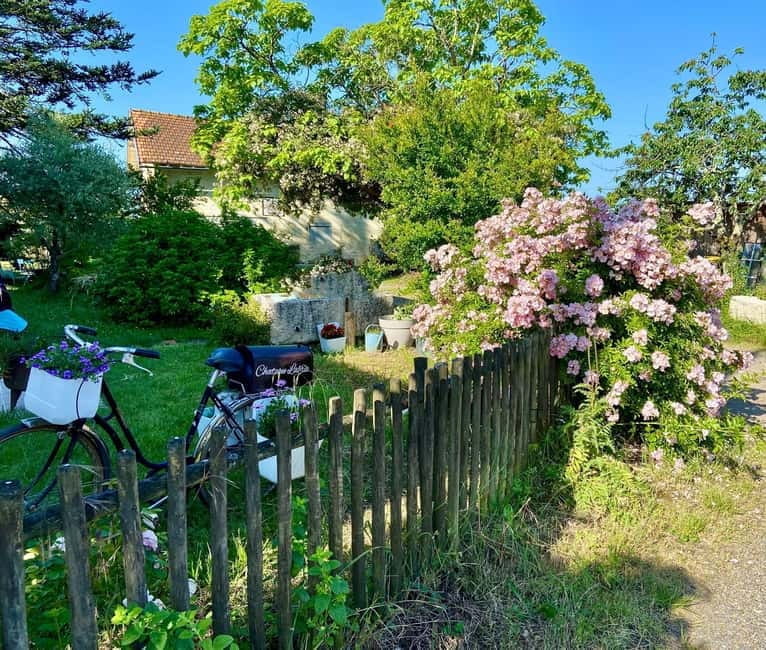 Exploration Oenologique au Château Labrie St Emilion GC - Exploring Château Labrie: A Genuine Taste of Family Winemaking in Saint-Emilion