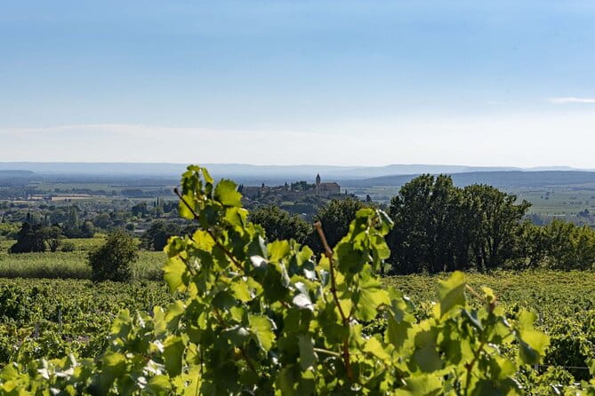 EXPLORATION - Visit of the estate, the cellars & tasting - Key Points