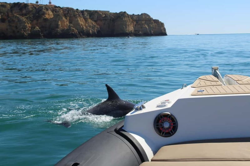 Explore Benagil, Ponta da Piedade and Dolphins in Algarve - Discovering the Algarve’s Best on a Private Boat Tour