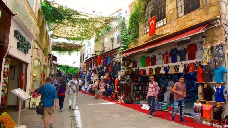 Explore Bodrum: Shop, Sightsee, and Soak in the Charm! - Who Should Consider This Tour?