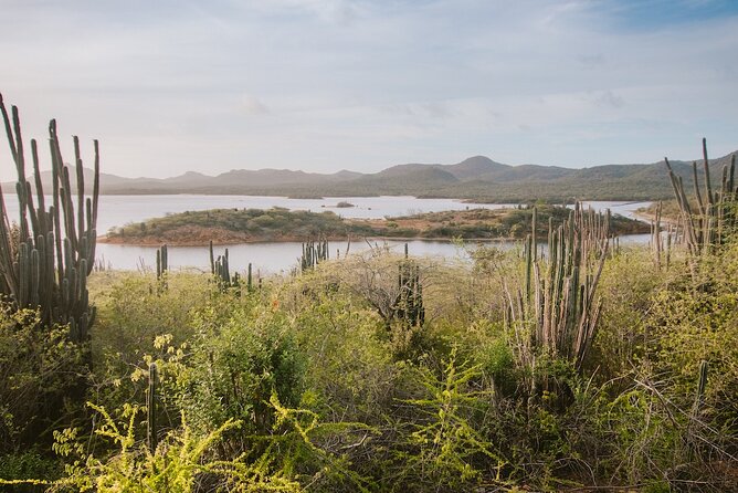 Explore Bonaire: North & South Tour - Practical Information