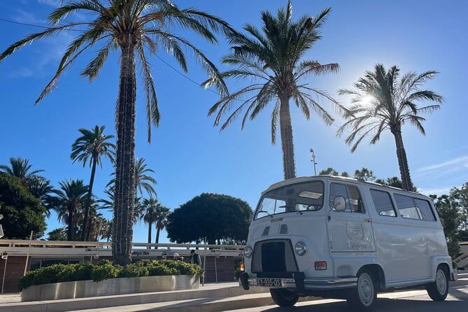 Explore Cannes Countryside in Style with our Classic Bus Tours! - Exploring Cannes Countryside in Style: The Full Breakdown