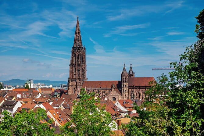 Explore Freiburgs Art and Culture with a Local - Who Will Love This Tour?