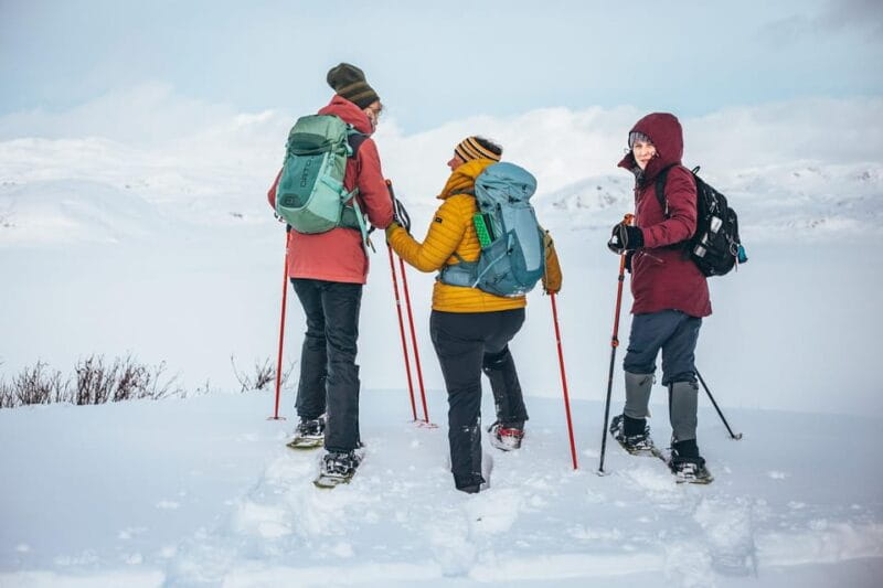Explore Jotunheimen - 2 Days with Snowshoeing and Snowcoach - The Return: Snowcoach and Farewell to Norway’s Winter Magic
