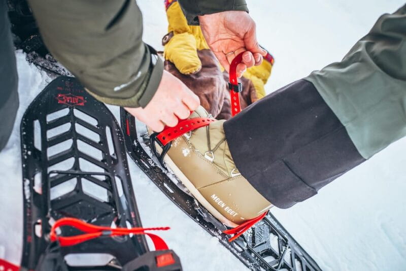 Explore Jotunheimen - 2 Days with Snowshoeing and Snowcoach - Who Will Love This Tour?
