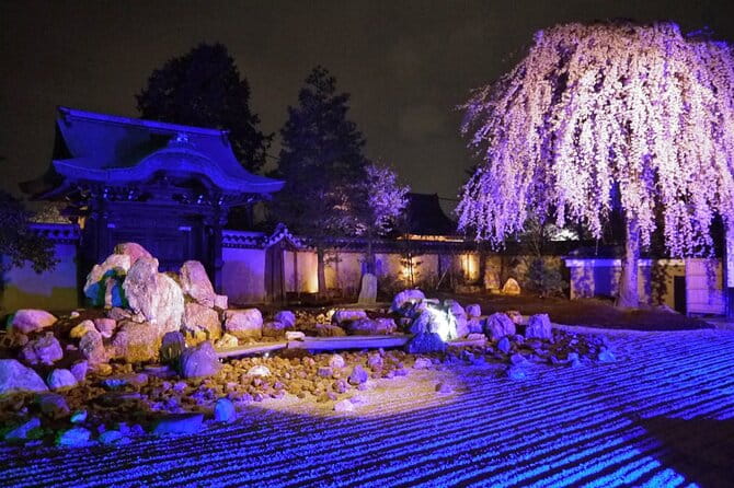 Explore Kyoto's 1,000-Year-Old Nighttime Cherry Blossoms! - Frequently Asked Questions