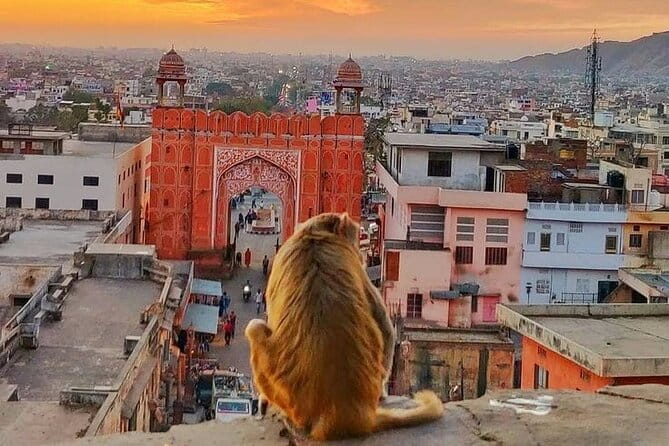 Explore Local Experience Jaipur Sightseeing Tour by Car + Guide - Detailed Review of the Jaipur Sightseeing Experience