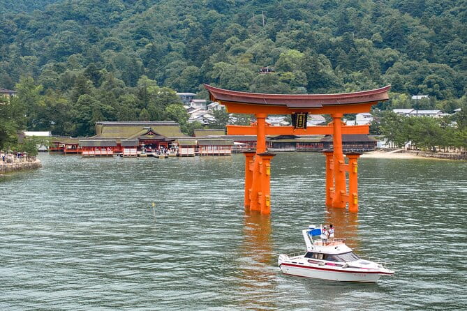 Explore Miyajima Seven Shrines by Cruiser - Meeting Point and Transportation Options