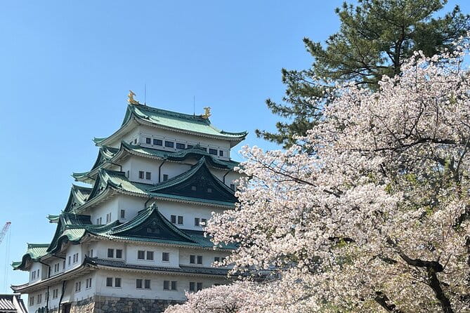 Explore Nagoya : Private Customizable Tour - Pickup Information