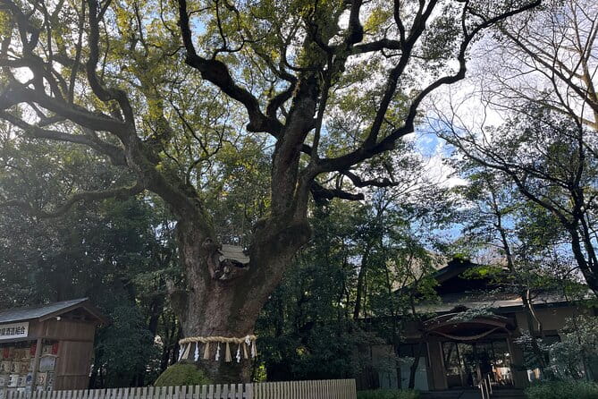 Explore Nagoya : Private Customizable Tour - Pricing and Booking