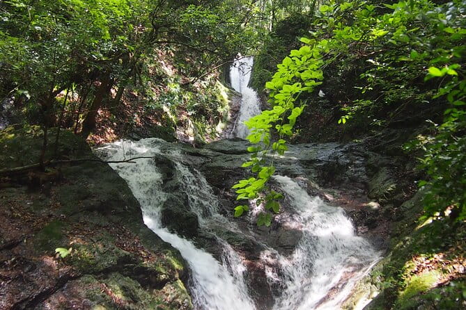 Explore Nature in Yoshino With E-Bike Tour - What to Expect on the E-Bike Tour