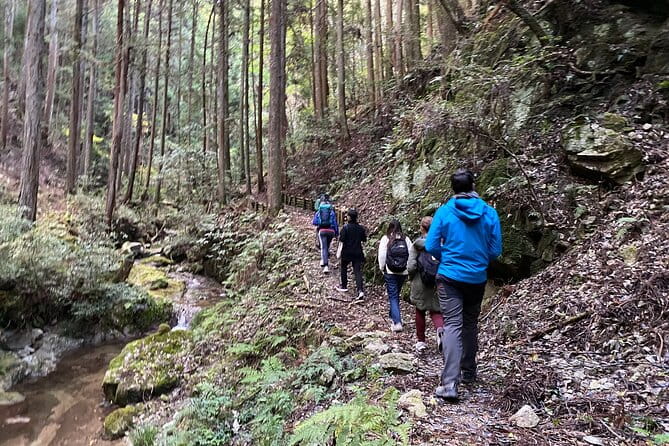 Explore Nature in Yoshino With E-Bike Tour - Inclusions and Pricing Details