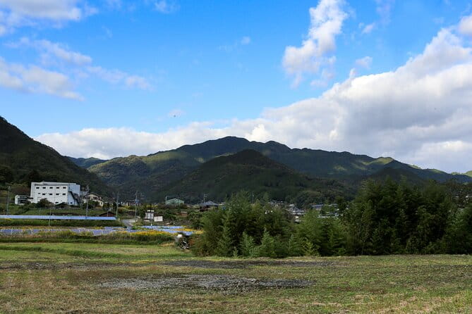 Explore Nature in Yoshino With E-Bike Tour - Recommended Fitness Level
