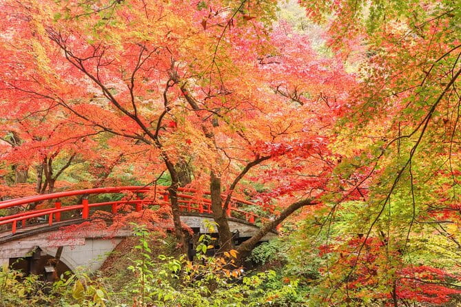 Explore Ninja Town Walking in Gunma From Tokyo - Exploring the Ninja Town Attractions