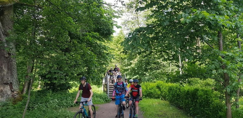 Explore Pavilniai Regional Park on a Mountain Bike - Scenic Heights and Forest Descents