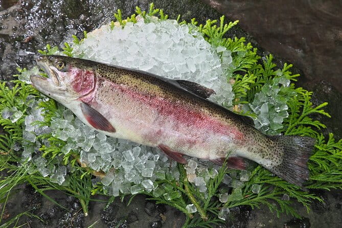 Explore Private Jungle Emerald Green Waterfall With Transfer - Key Points