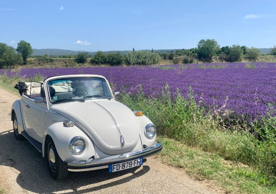 Explore Provence in a Beetle! - Inclusions and Exclusions