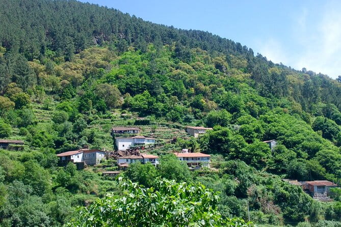 Explore Ribeira Sacra by Boat: Unique Excursion from Santiago - What’s Included, What’s Not