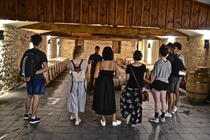 Explore Saint-Émilion on E-Bikes: Small Group, Full-Day Tour - Key Points