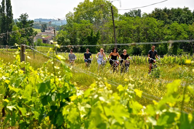 Explore Saint-Émilion on E-Bikes: Small Group, Full-Day Tour - Guest Reviews